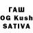 Галлюциногенные грибы GOLDEN TEACHER Inna titkova