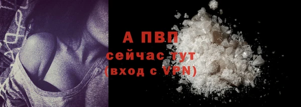 стаф Липки