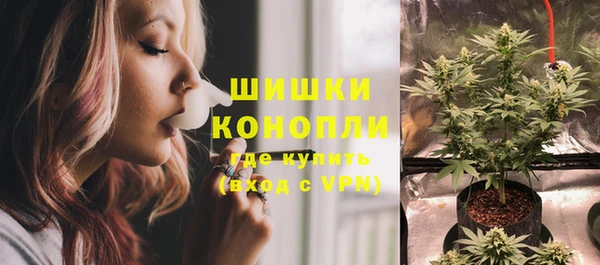 стаф Липки